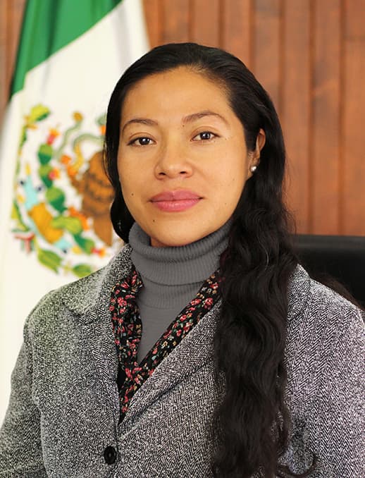 C.P. Guillermina Amaya Morales