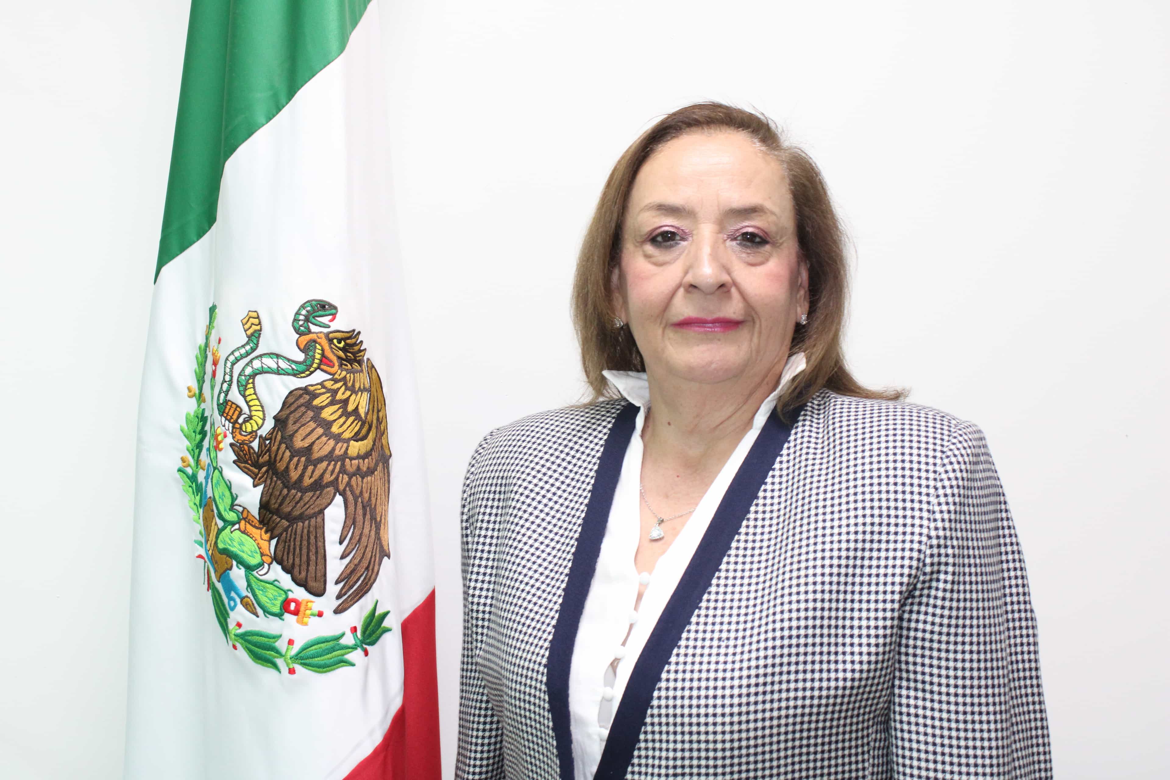 L.T.S. Elsa Torres Castaños
